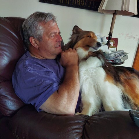 Random shop creek shelties